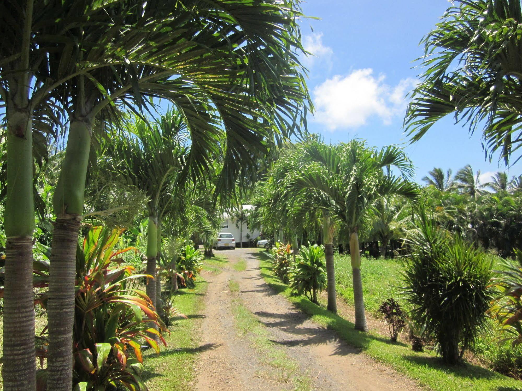 Muri Lagoon View Bungalows - Hillside Bungalow Rarotonga Extérieur photo